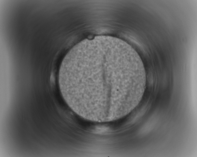 X0000095910214200802081059