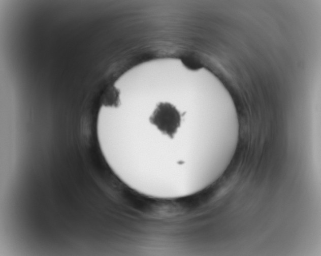 X0000095910215200802081059