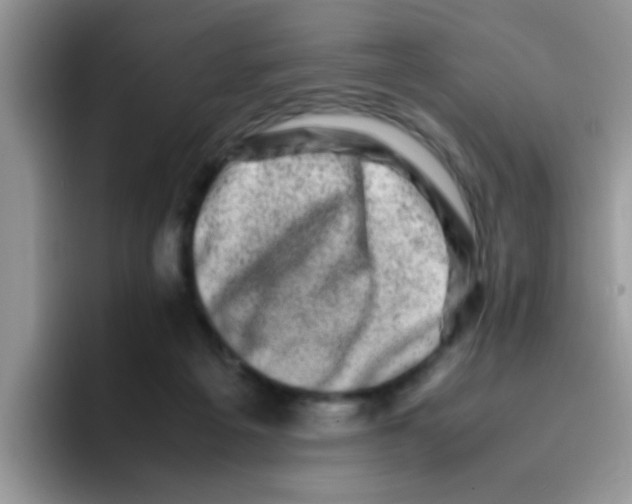 X0000095910217200802081059