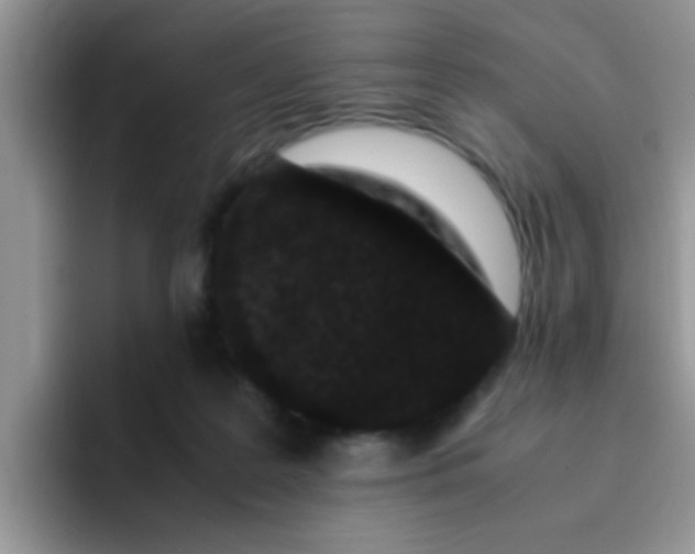 X0000095910219200802081059