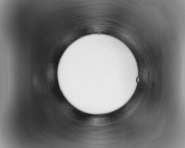 X0000095910220200802081059