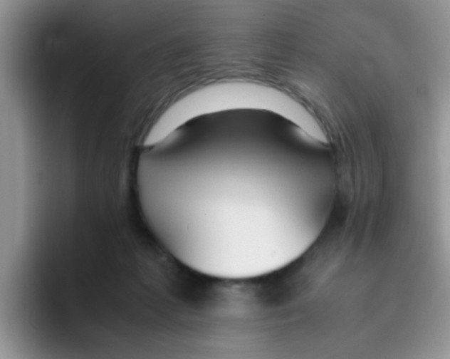 X0000095910221200802081059