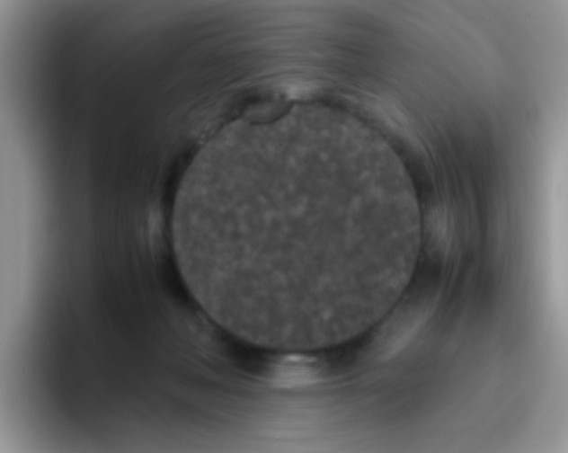 X0000095910222200802081059