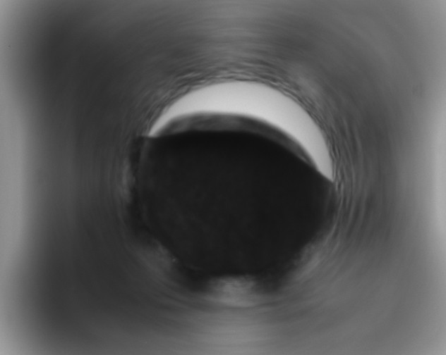 X0000095910223200802081059