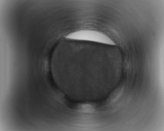 X0000095910224200802081059