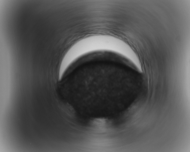 X0000095910227200802081059