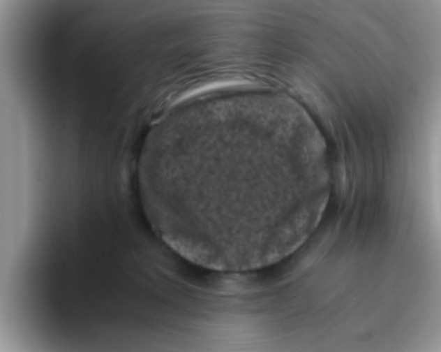 X0000095910229200802081059