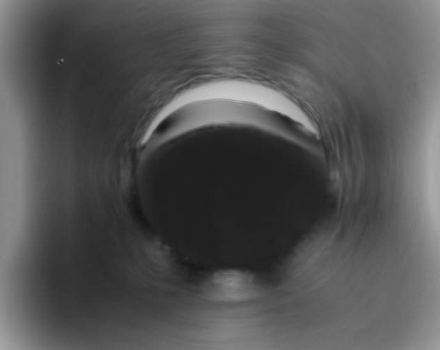 X0000095910231200802081059