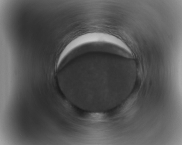 X0000095910233200802081059