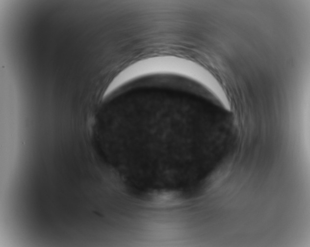 X0000095910235200802081059