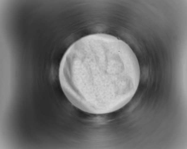 X0000095910236200802081059