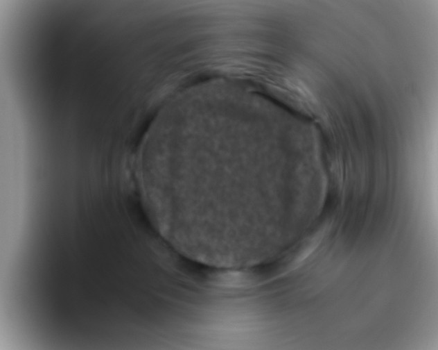 X0000095910237200802081059