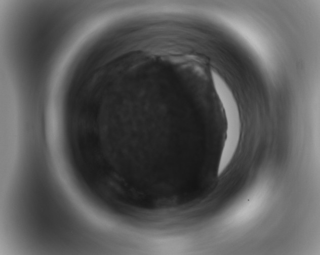 X0000095910239200802081059