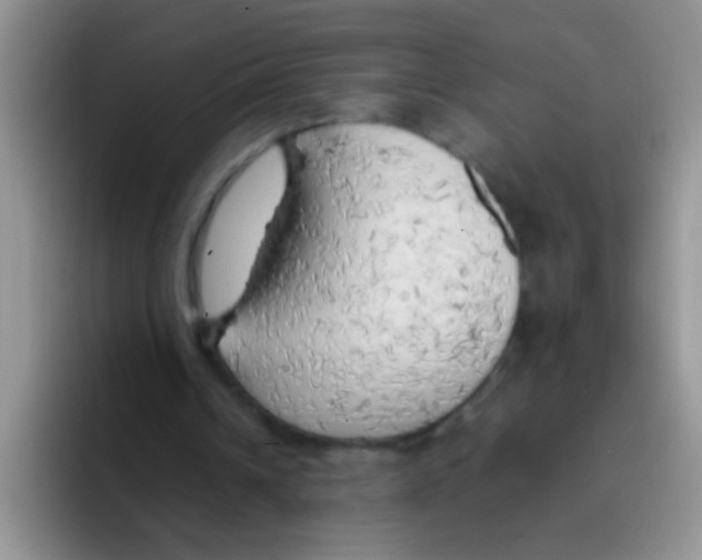 X0000095910242200802081058
