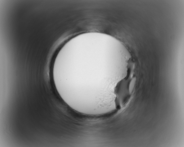 X0000095910246200802081059