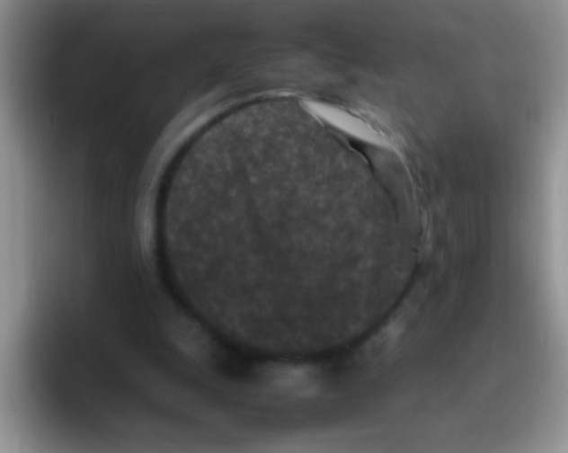 X0000095910247200802081059