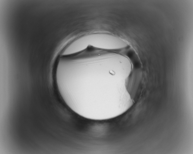 X0000095910248200802081059