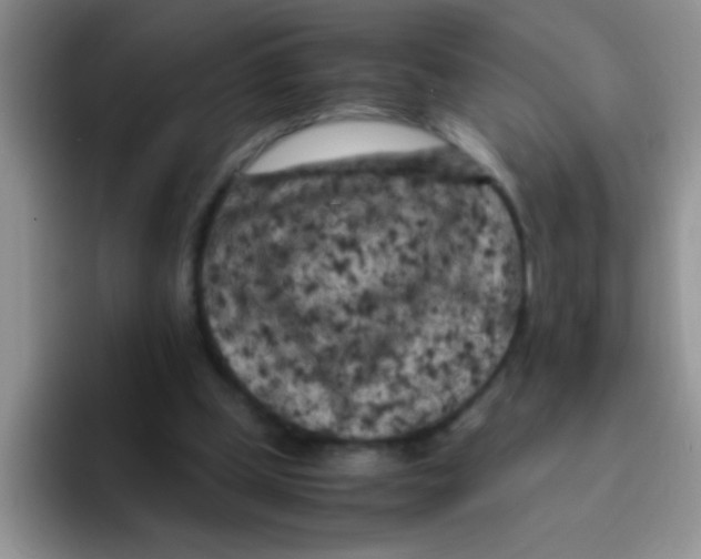 X0000095910249200802081059