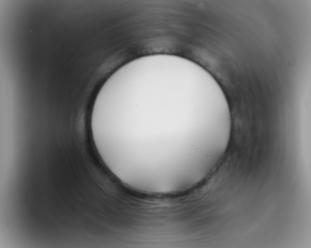 X0000095910250200802081059