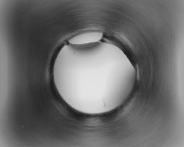 X0000095910252200802081059