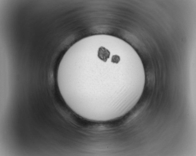 X0000095910254200802081059