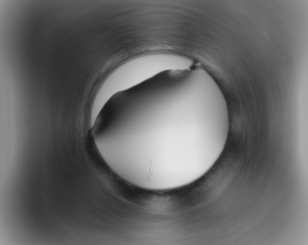 X0000095910256200802081059