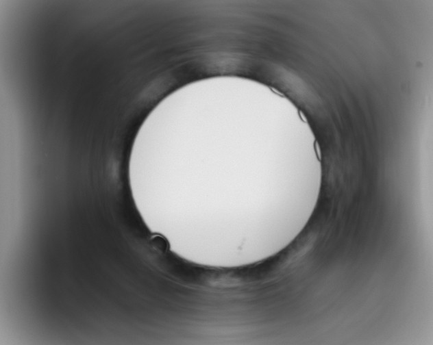 X0000095910258200802081059