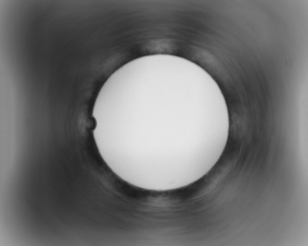 X0000095910259200802081059