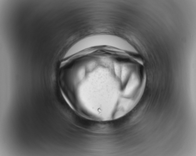 X0000095910260200802081059