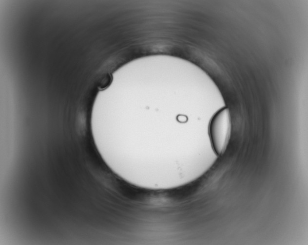 X0000095910262200802081059