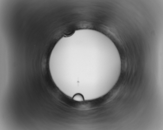 X0000095910263200802081059