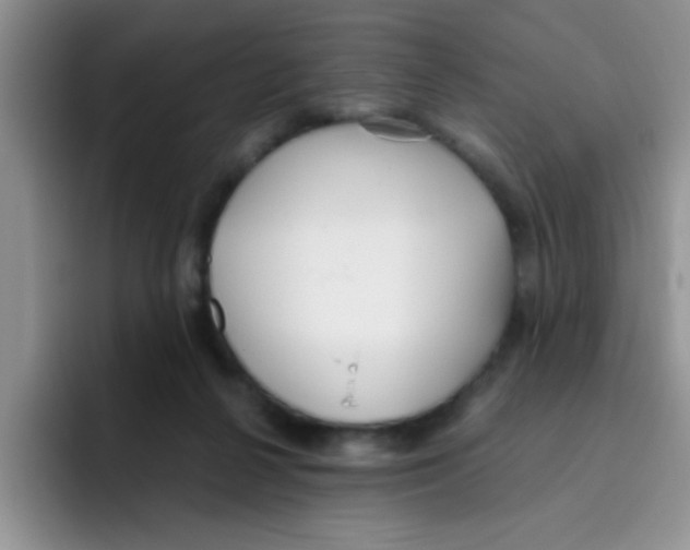 X0000095910264200802081059