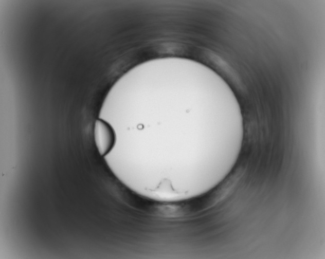 X0000095910265200802081059