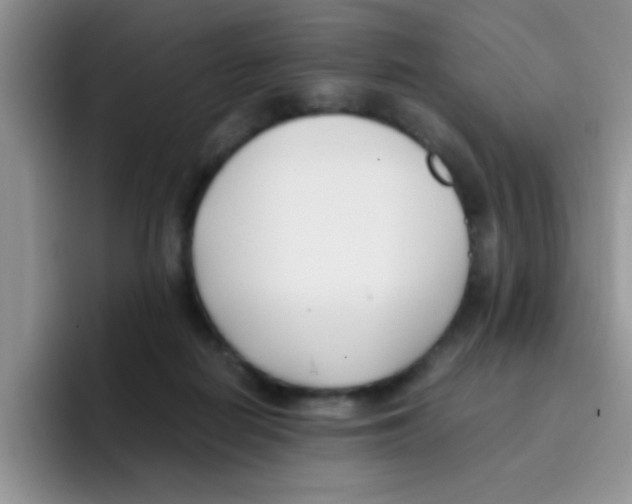 X0000095910266200802081059