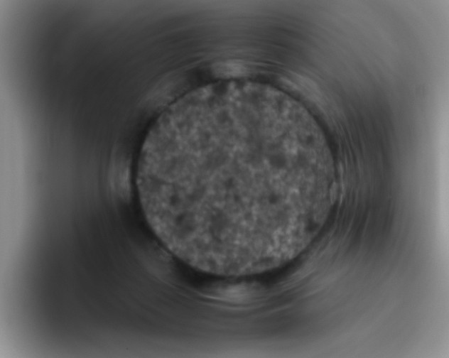 X0000095910267200802081059