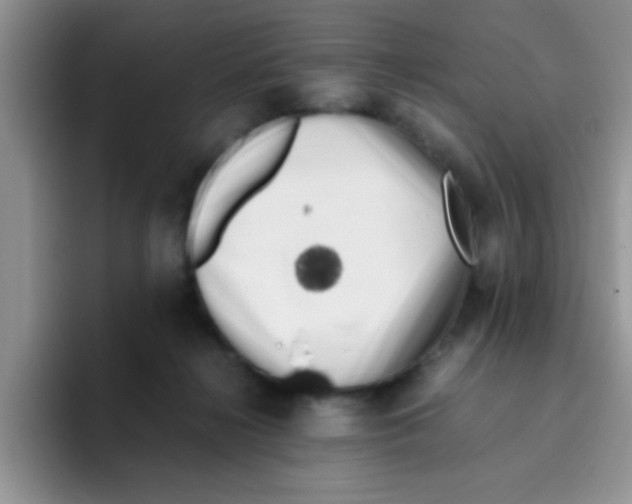 X0000095910268200802081059