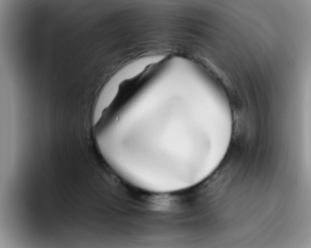 X0000095910269200802081059