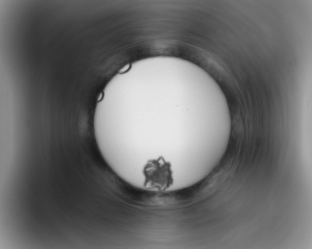 X0000095910270200802081059