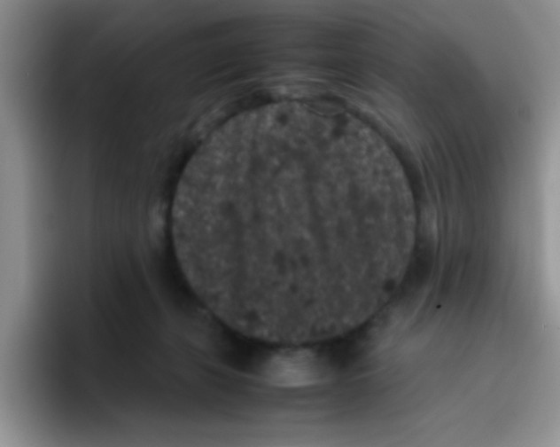 X0000095910271200802081059