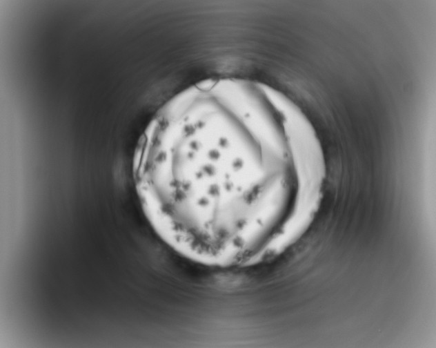 X0000095910272200802081059