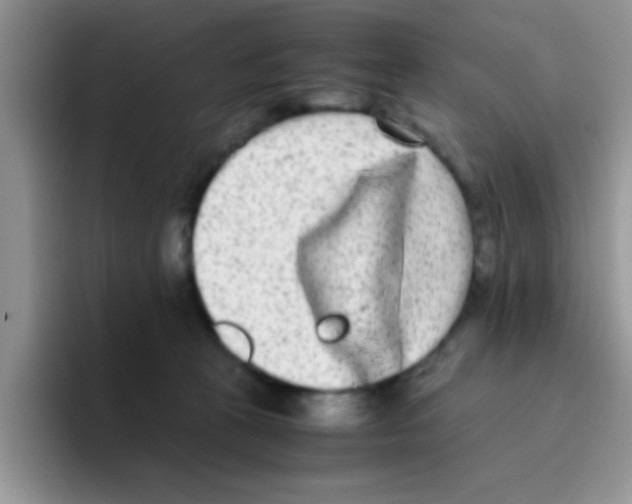 X0000095910273200802081059