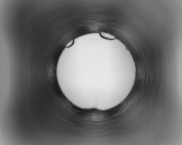 X0000095910275200802081059