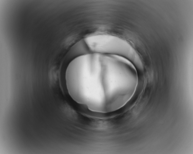 X0000095910276200802081059