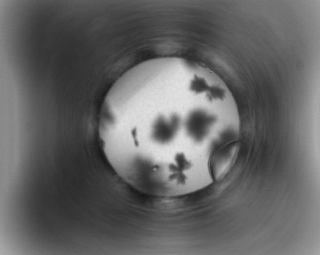 X0000095910277200802081059