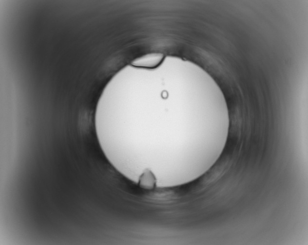 X0000095910278200802081059