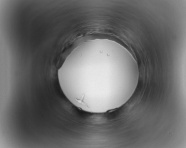 X0000095910280200802081059