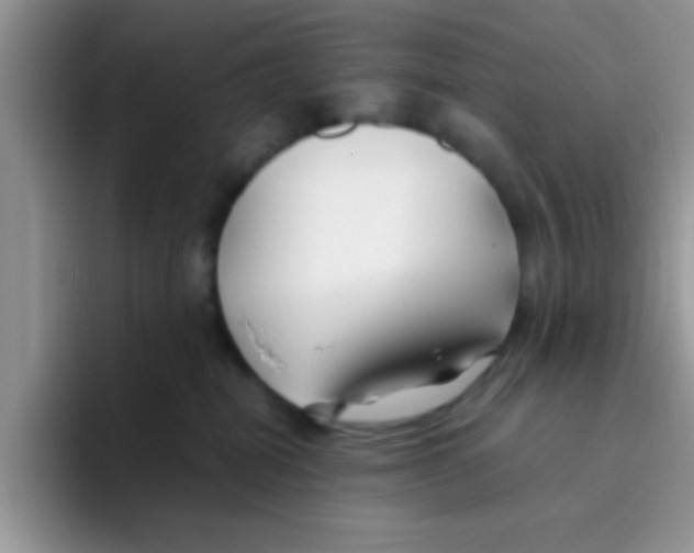 X0000095910282200802081059