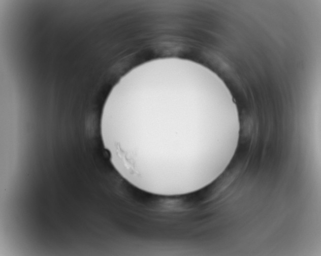 X0000095910283200802081059