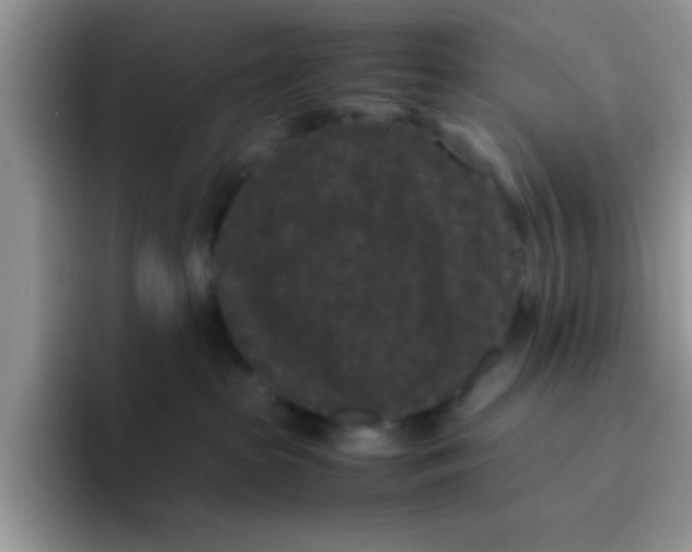 X0000095910285200802081059