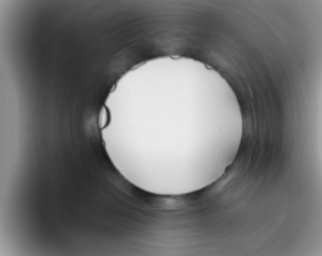 X0000095910286200802081059